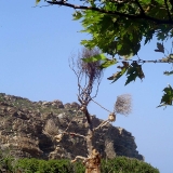 re-exposure-of-rotation-of-dsc05298