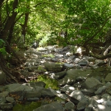 rotation-of-dsc05203