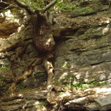 rotation-of-dsc05206