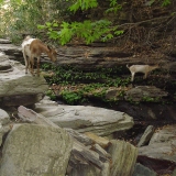 rotation-of-dsc05208