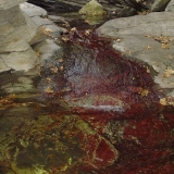 rotation-of-dsc05209