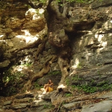 rotation-of-dsc05213