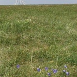 Maintipi getting ready