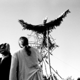 373224881_8f9a60fa41_o1